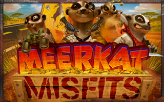 Meerkat Misfits